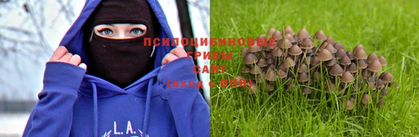 гидропоника Вязники