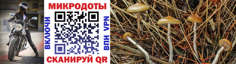 Галлюциногенные грибы мухоморы Набережные Челны